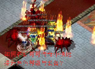 如何在新可可传奇中快速提升角色等级与装备? 如何在新可可传奇中快速提升角色等级与装备?