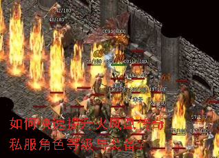 如何快速提升火凤凰传奇私服角色等级与装备? 如何快速提升火凤凰传奇私服角色等级与装备?
