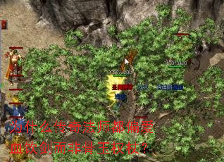 Ϊʲô���淨ʦ��ƫ��Ѫ�������ǹ���Ȩ�ȣ�
