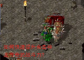 ��ο��������ϻ����������ս������