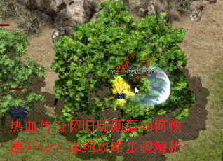 热血传奇怀旧版勋章如何快速升级?详细攻略步骤解析 热血传奇怀旧版勋章如何快速升级?详细攻略步骤解析