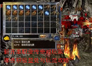 �¿���ְҵ������������Щ�����洦���淨����