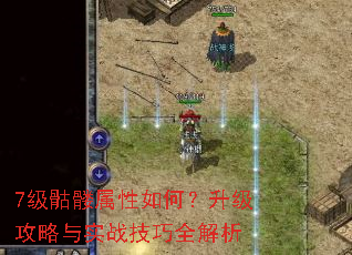 7级骷髅属性如何?升级攻略与实战技巧全解析 7级骷髅属性如何?升级攻略与实战技巧全解析