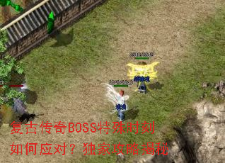 ���Ŵ���BOSS����ʱ�����Ӧ�ԣ����ҹ��Խ���