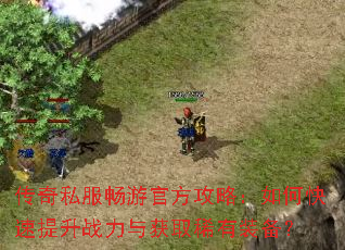 传奇私服畅游官方攻略:如何快速提升战力与获取稀有装备? 传奇私服畅游官方攻略:如何快速提升战力与获取稀有装备?