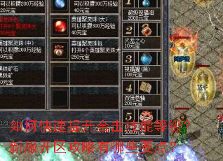 如何快速提升合击技能等级?新服开区攻略有哪些要点? 如何快速提升合击技能等级?新服开区攻略有哪些要点?
