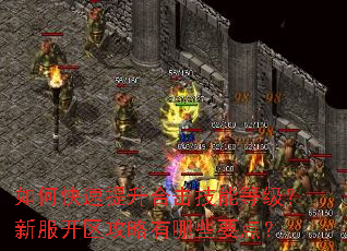 如何快速提升合击技能等级?新服开区攻略有哪些要点? 如何快速提升合击技能等级?新服开区攻略有哪些要点?