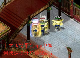 ʮ����ƽ̨app����ο���������ɫս����