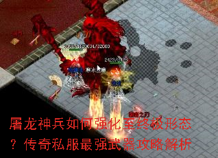 ����������ǿ�����ռ���̬������˽����ǿ�������Խ���