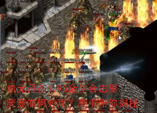 精元丹在1.95金牛合击里究竟有何妙用?高手带你揭秘 精元丹在1.95金牛合击里究竟有何妙用?高手带你揭秘