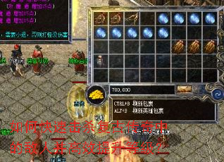 如何快速击杀复古传奇中的敌人并高效提升等级? 如何快速击杀复古传奇中的敌人并高效提升等级?