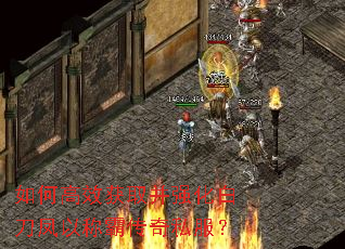 如何高效获取并强化白刀凤以称霸传奇私服? 如何高效获取并强化白刀凤以称霸传奇私服?