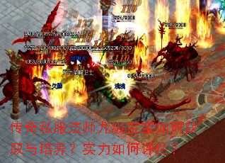 传奇私服法师九级宝宝如何获取与培养?实力如何评估? 传奇私服法师九级宝宝如何获取与培养?实力如何评估?