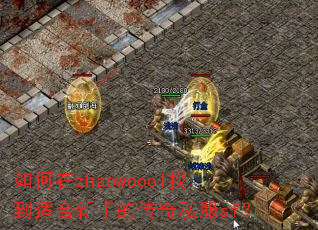 如何在zhaowoool找到适合新手的传奇私服sf? 如何在zhaowoool找到适合新手的传奇私服sf?