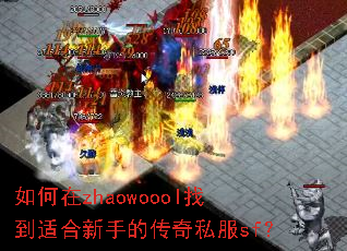 如何在zhaowoool找到适合新手的传奇私服sf? 如何在zhaowoool找到适合新手的传奇私服sf?