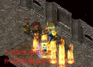 ��ɱְҵ��ο����������ư�ȫ����