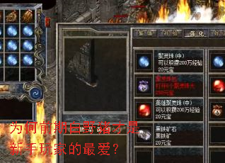 为何前期白野猪才是新手玩家的最爱? 为何前期白野猪才是新手玩家的最爱?