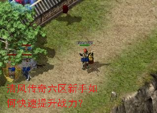 ��紫������������ο�������ս����