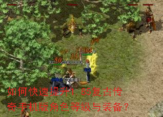 如何快速提升1.85复古传奇手机版角色等级与装备? 如何快速提升1.85复古传奇手机版角色等级与装备?