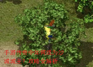 手游传奇中如何成为沙城城主?攻略全解析 手游传奇中如何成为沙城城主?攻略全解析