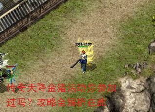 传奇天降金猪活动你参加过吗?攻略全解析在此 传奇天降金猪活动你参加过吗?攻略全解析在此