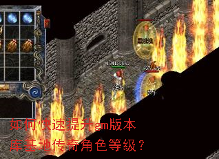 如何快速提升gm版本库基地传奇角色等级? 如何快速提升gm版本库基地传奇角色等级?