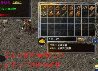 ���Ŵ��澿���������������Ź���ȫ����