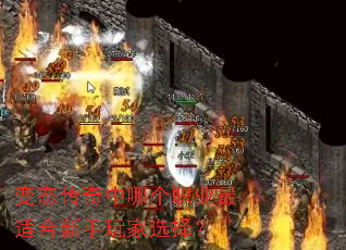 变态传奇中哪个职业最适合新手玩家选择? 变态传奇中哪个职业最适合新手玩家选择?