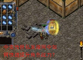 中变传世私发服网中如何快速提升角色战力? 中变传世私发服网中如何快速提升角色战力?