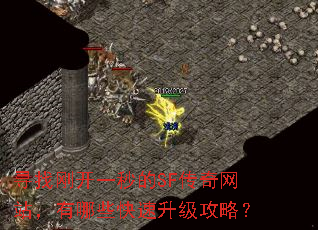 寻找刚开一秒的SF传奇网站,有哪些快速升级攻略? 寻找刚开一秒的SF传奇网站,有哪些快速升级攻略?