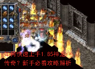 如何快速上手1.85神龙传奇?新手必看攻略解析 如何快速上手1.85神龙传奇?新手必看攻略解析