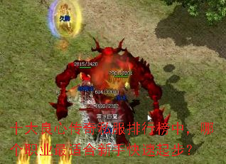 十大良心传奇私服排行榜中,哪个职业最适合新手快速起步? 十大良心传奇私服排行榜中,哪个职业最适合新手快速起步?