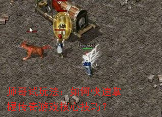 师哥试玩法:如何快速掌握传奇游戏核心技巧? 师哥试玩法:如何快速掌握传奇游戏核心技巧?