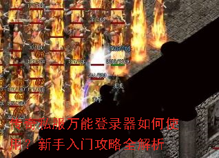 ����˽�����ܵ�¼�����ʹ�ã��������Ź���ȫ����