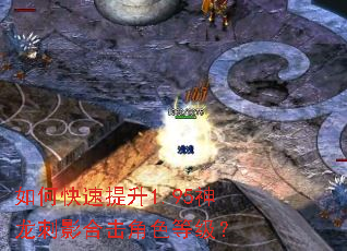 如何快速提升1.95神龙刺影合击角色等级? 如何快速提升1.95神龙刺影合击角色等级?