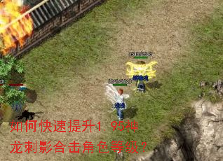 如何快速提升1.95神龙刺影合击角色等级? 如何快速提升1.95神龙刺影合击角色等级?